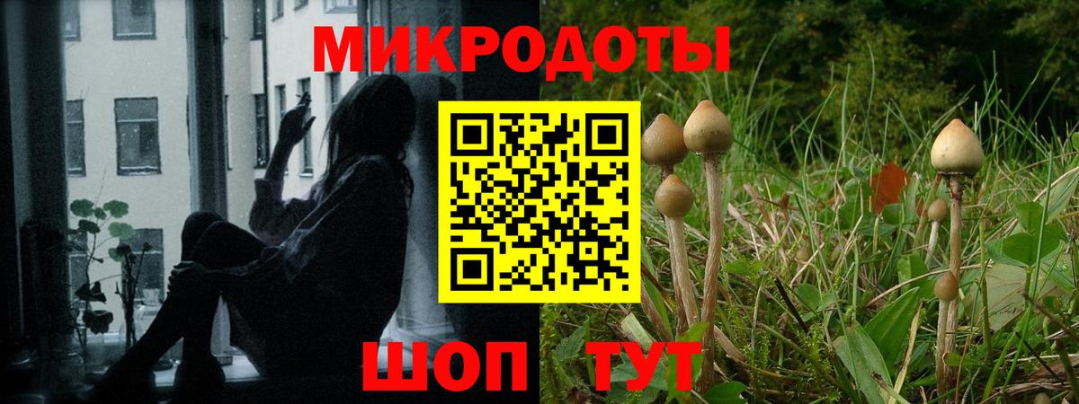 Псилоцибиновые грибы прущие грибы Бирск